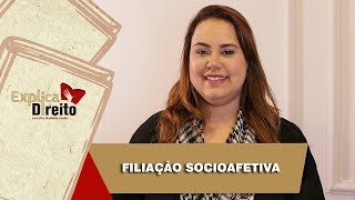 Explica Direito Filiação Socioafetiva  2019 [upl. by Eidak]