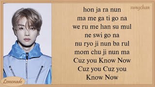 NCT U  Know Now Easy Lyrics [upl. by Naginnarb]