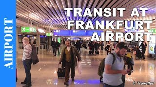 TRANSIT WALK AT FRANKFURT Airport FRA Terminal 1  Connection Flight Transfer Arriving amp Departing [upl. by Ynar]